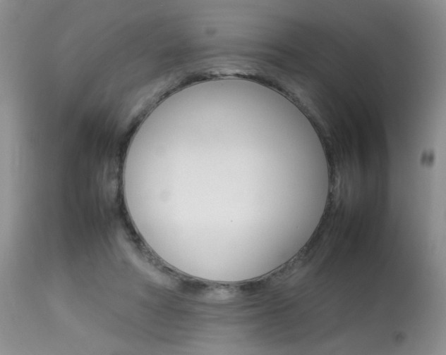 X0000113930402200909250921