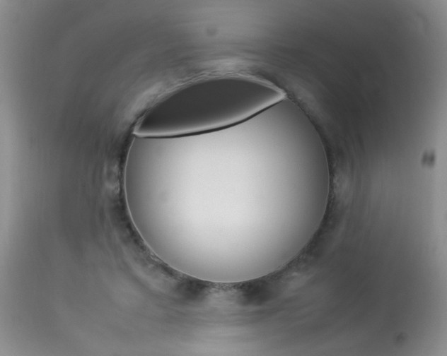 X0000113930403200909250921