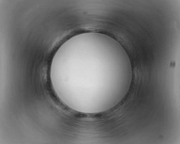 X0000113930404200909250921