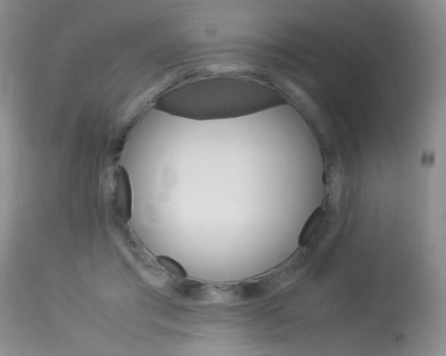 X0000113930405200909250920