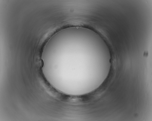X0000113930407200909250920
