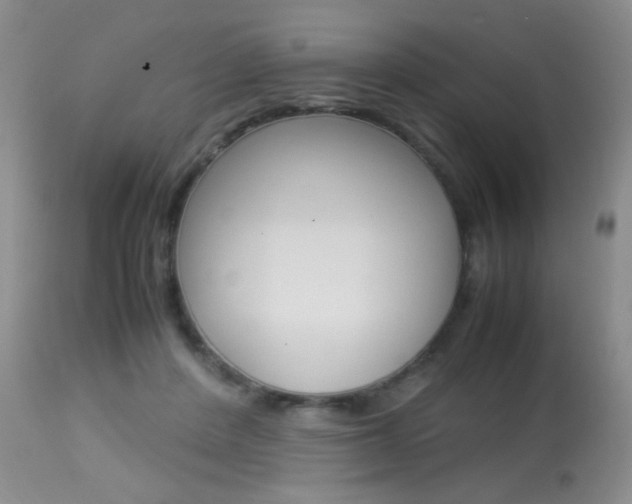 X0000113930408200909250920