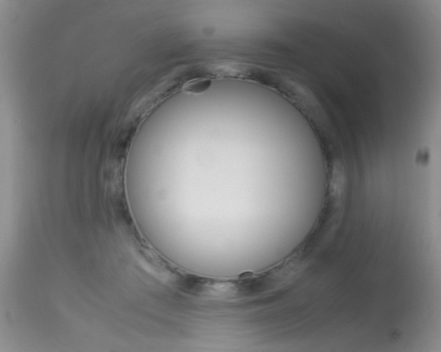 X0000113930409200909250920