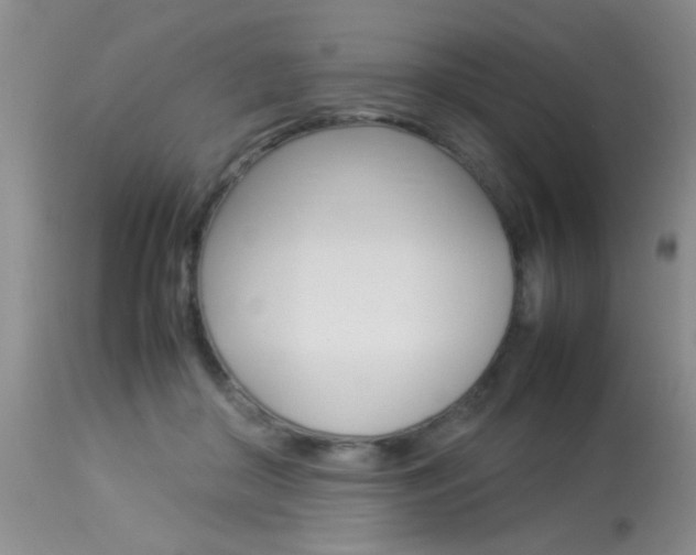 X0000113930410200909250920