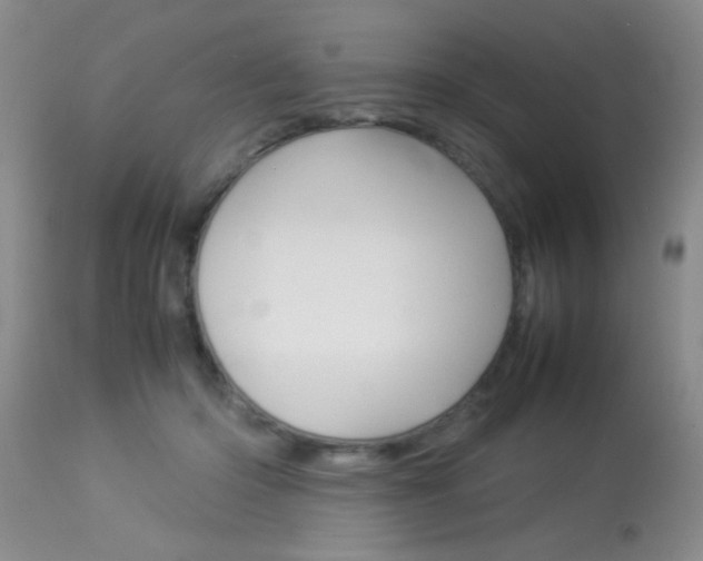 X0000113930414200909250920