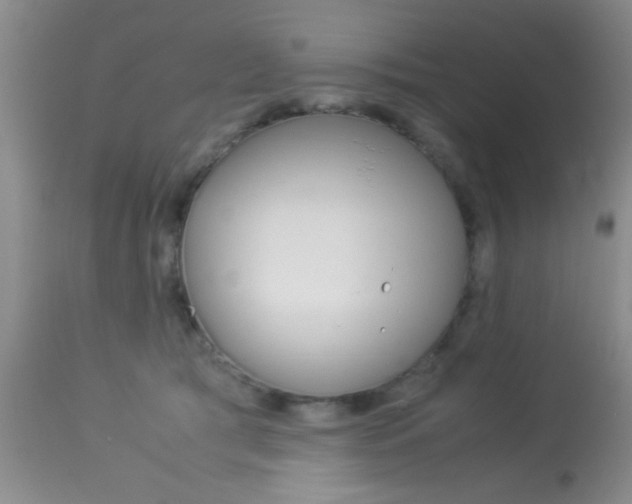 X0000113930417200909250920
