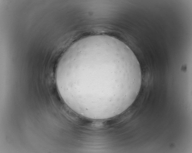 X0000113930418200909250920