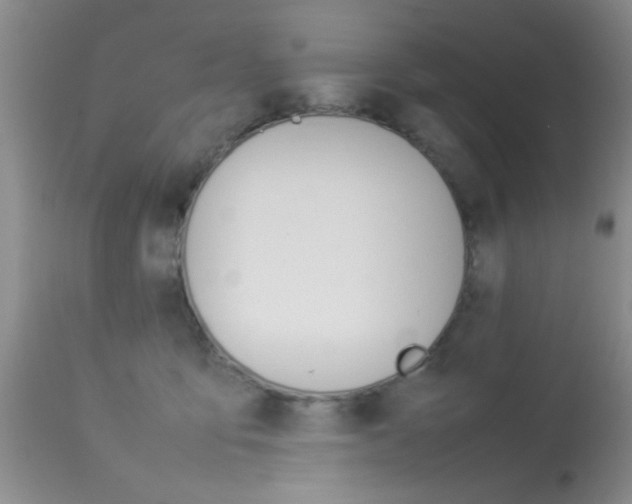 X0000113930419200909250920