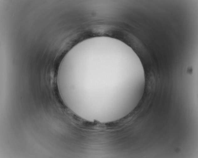 X0000113930420200909250920