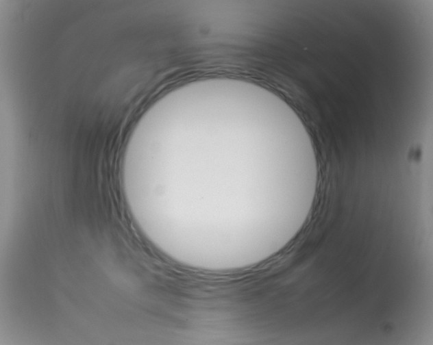 X0000113930421200909250920