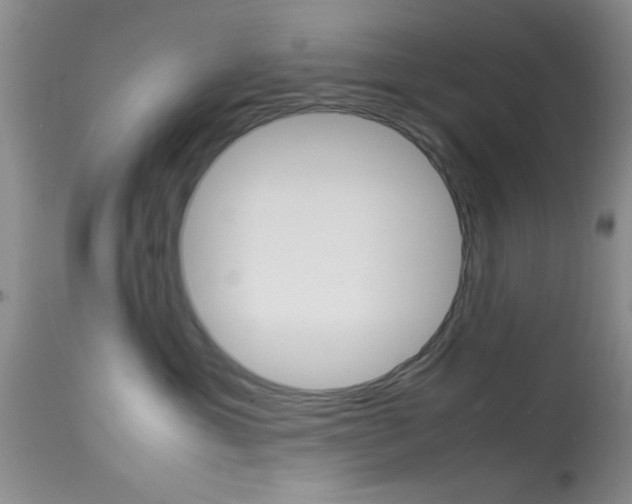 X0000113930429200909250920