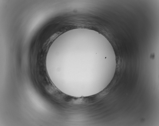 X0000113930430200909250920