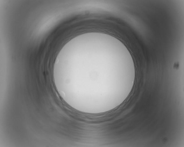 X0000113930431200909250920