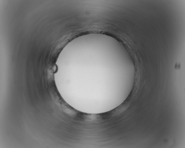 X0000113930432200909250920
