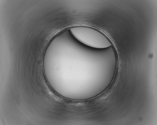 X0000113930433200909250919