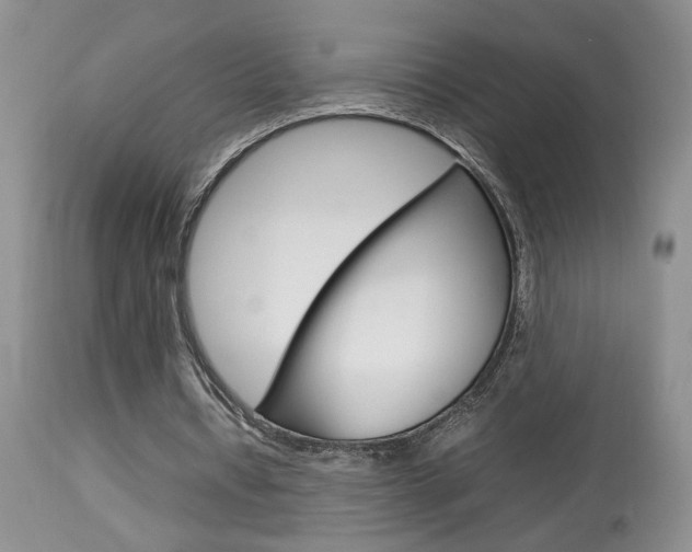 X0000113930434200909250919