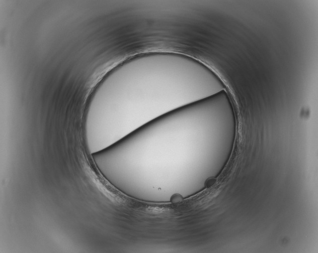 X0000113930437200909250920