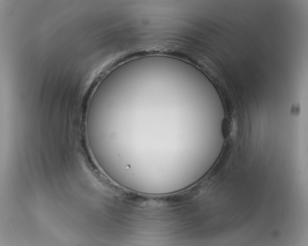 X0000113930444200909250920
