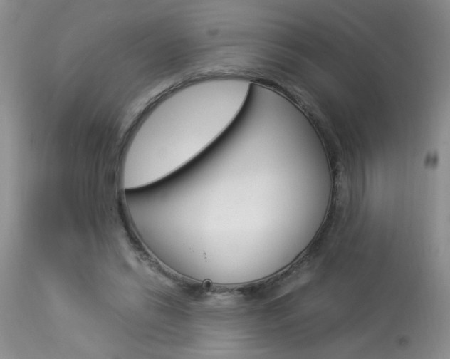 X0000113930446200909250920