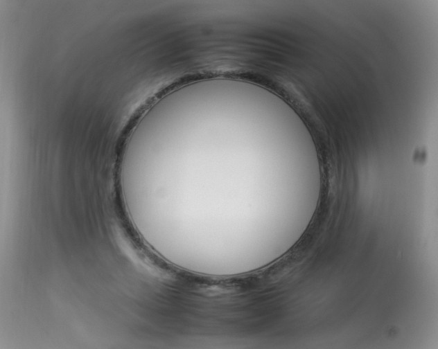 X0000113930447200909250920