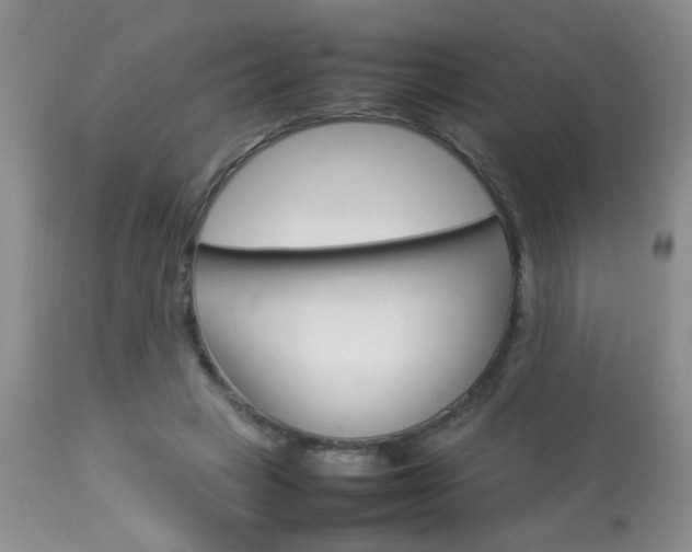 X0000113930449200909250920