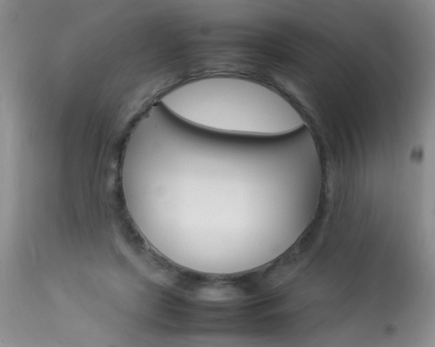 X0000113930451200909250920