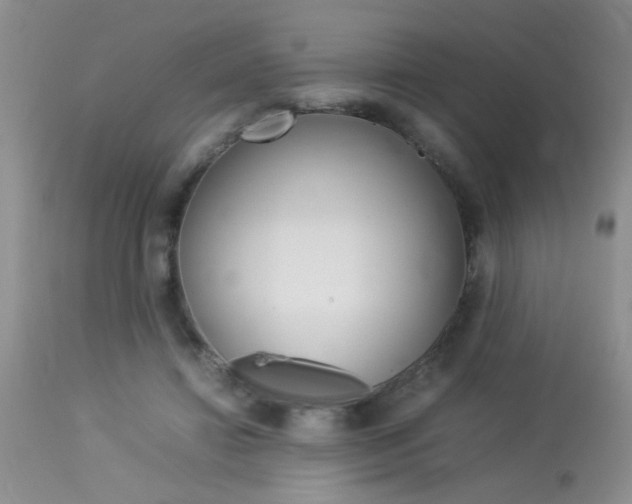 X0000113930452200909250920