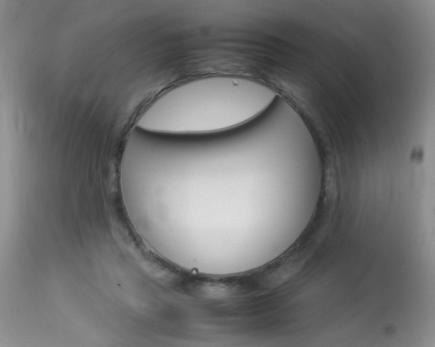 X0000113930453200909250920