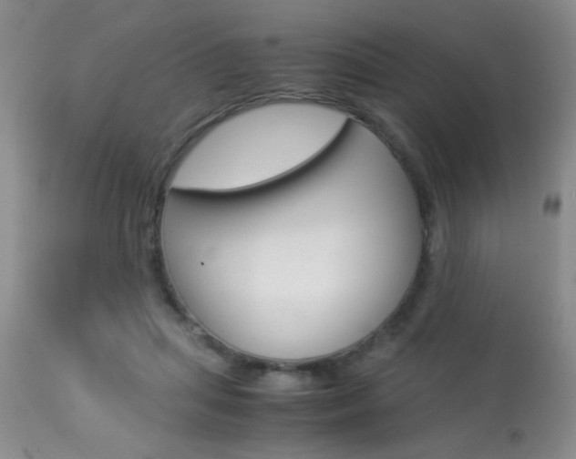 X0000113930455200909250920