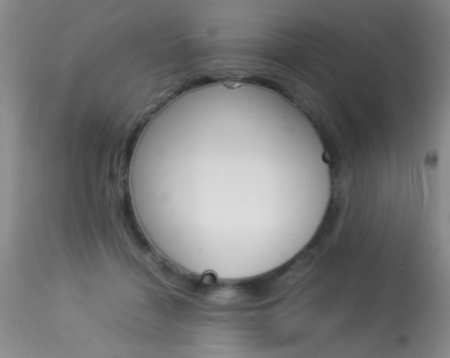 X0000113930460200909250920