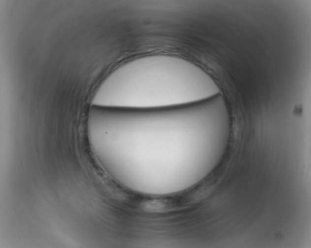 X0000113930461200909250920