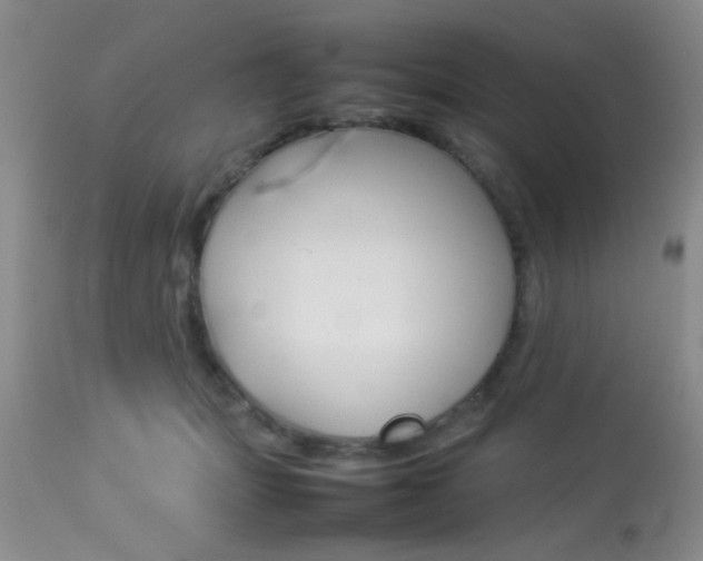 X0000113930463200909250920