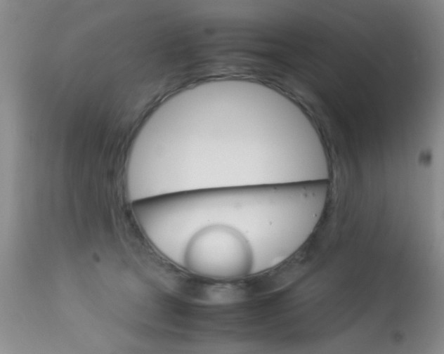 X0000113930465200909250920