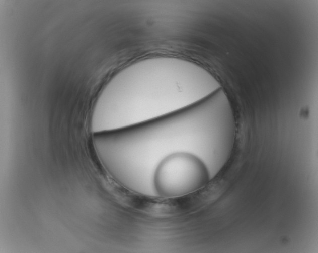X0000113930466200909250920