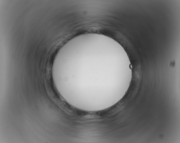 X0000113930468200909250920