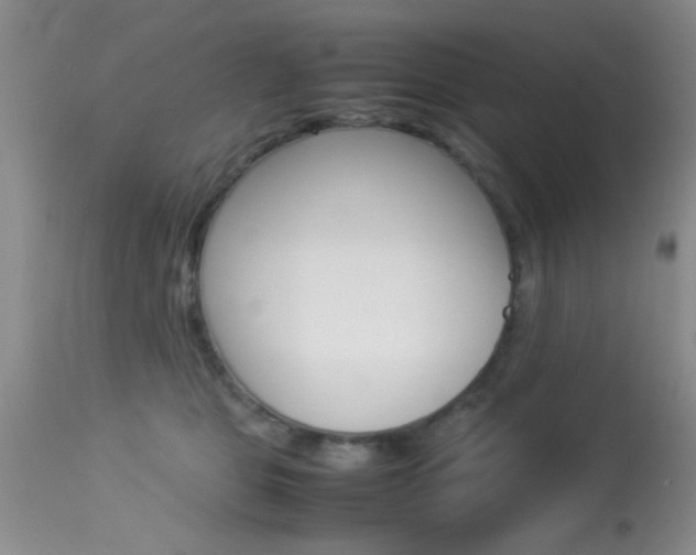 X0000113930469200909250920