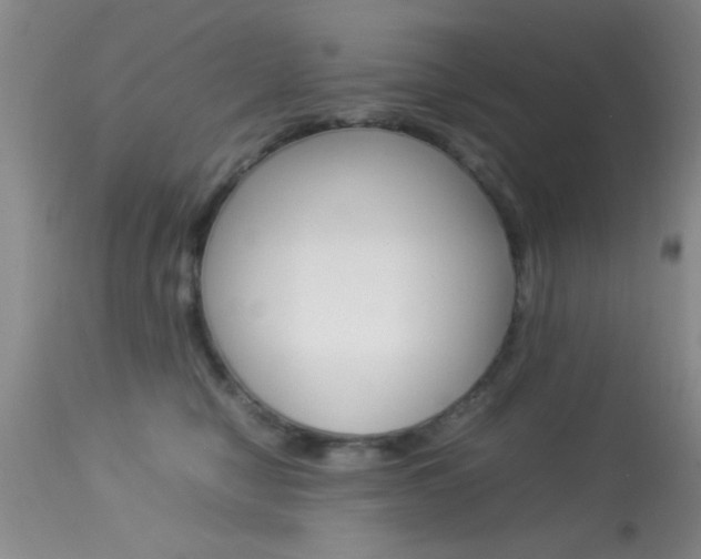 X0000113930470200909250920