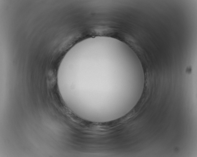 X0000113930471200909250920