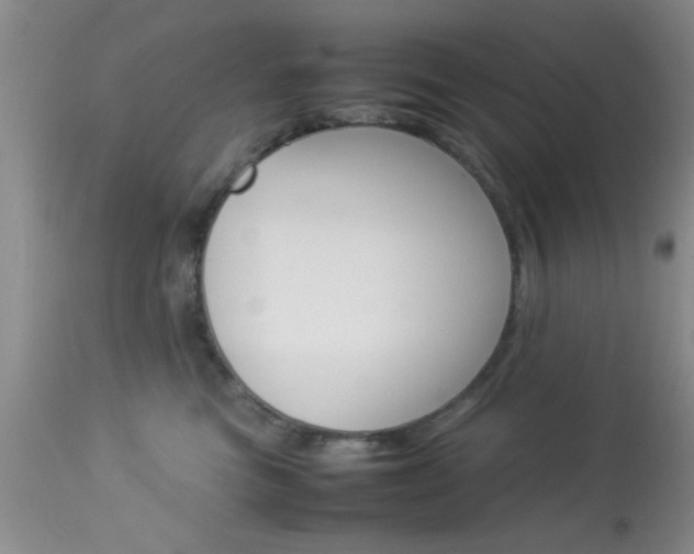 X0000113930473200909250920