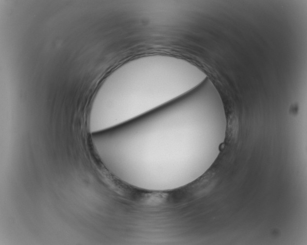 X0000113930474200909250920
