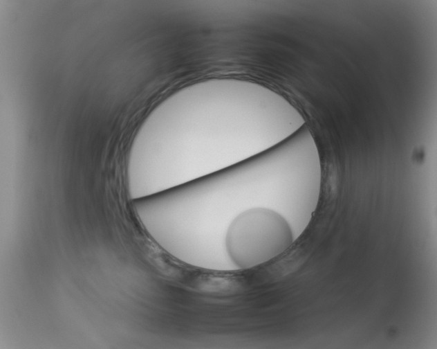 X0000113930475200909250920