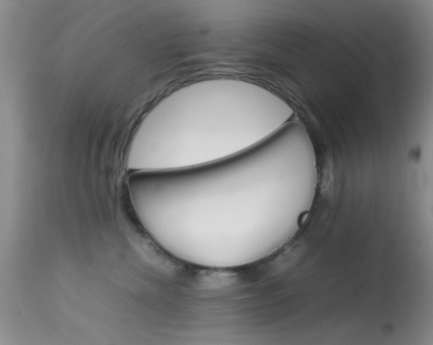 X0000113930476200909250920