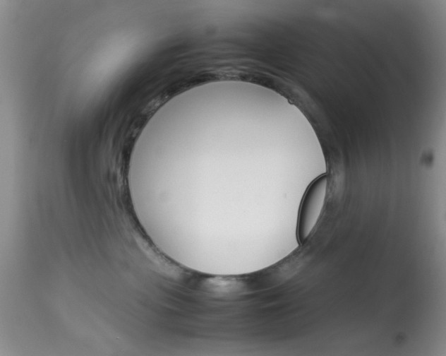 X0000113930477200909250920