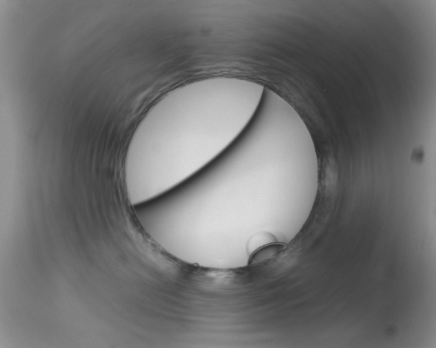 X0000113930478200909250920