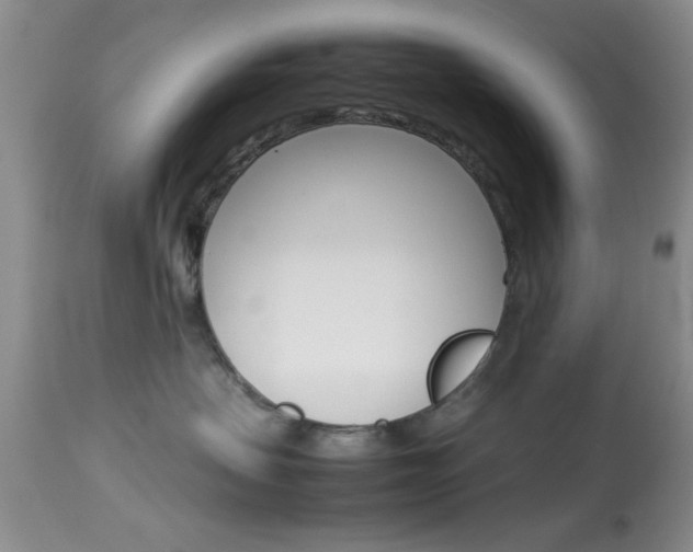 X0000113930479200909250920