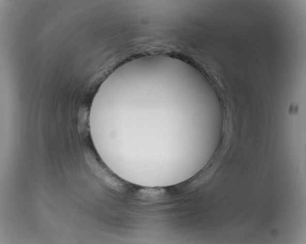 X0000113930480200909250920