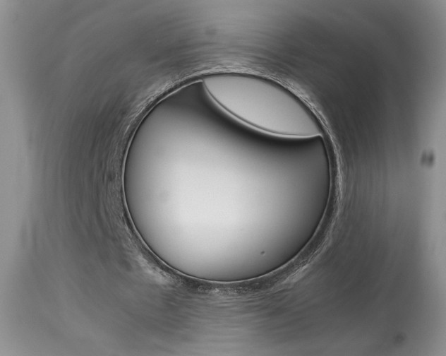 X0000113930481200909250919