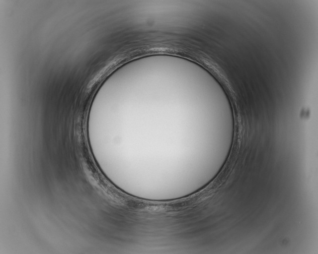 X0000113930482200909250919