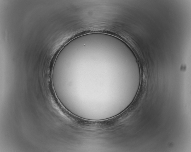 X0000113930485200909250919