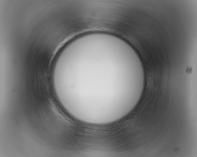 X0000113930488200909250919